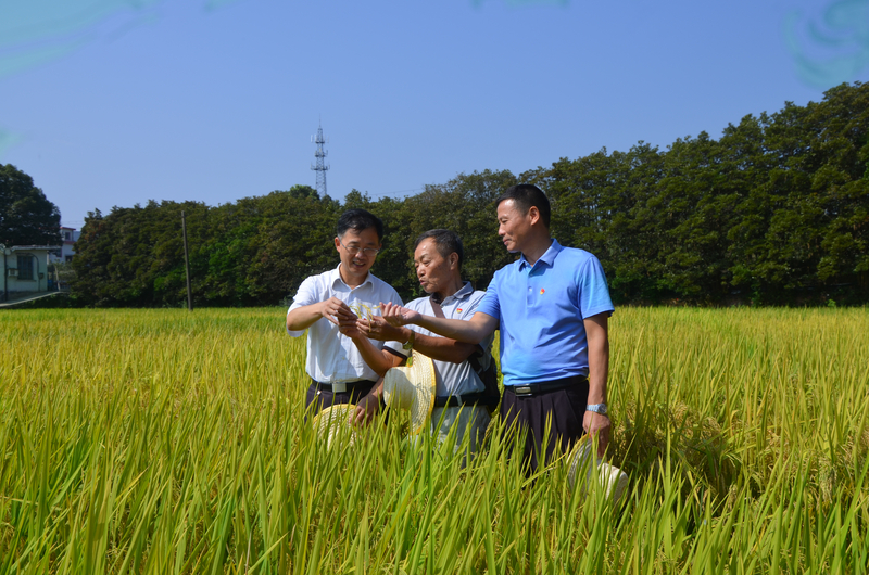 1567995052589022893.jpg DSC_0523.jpg