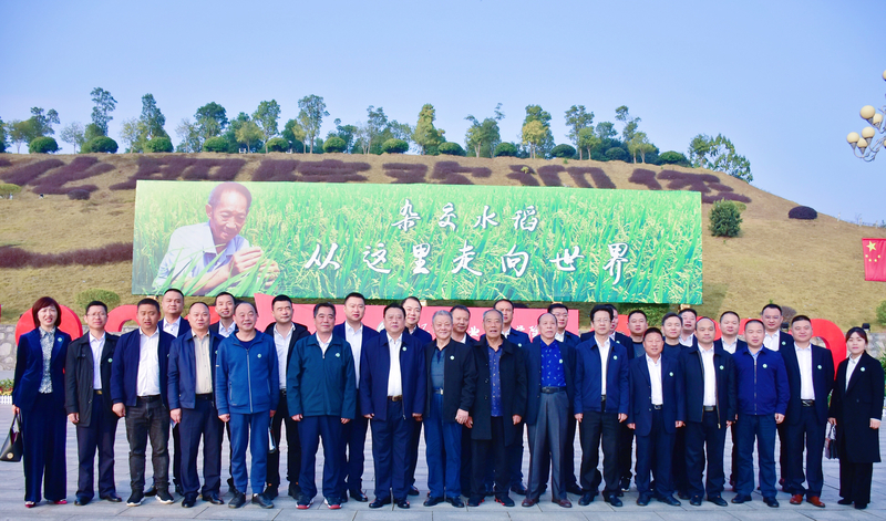 1573441265302046418.jpg 3.jpg