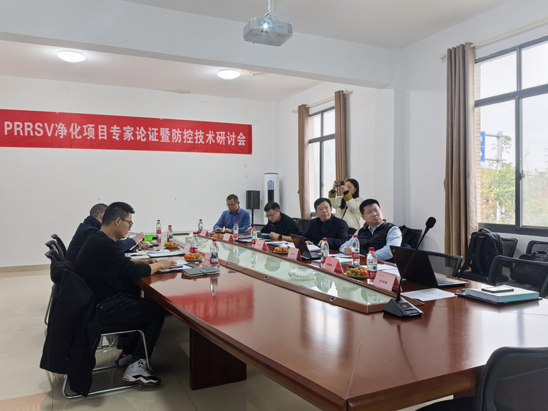 1767066867318019561.jpg 1.jpg